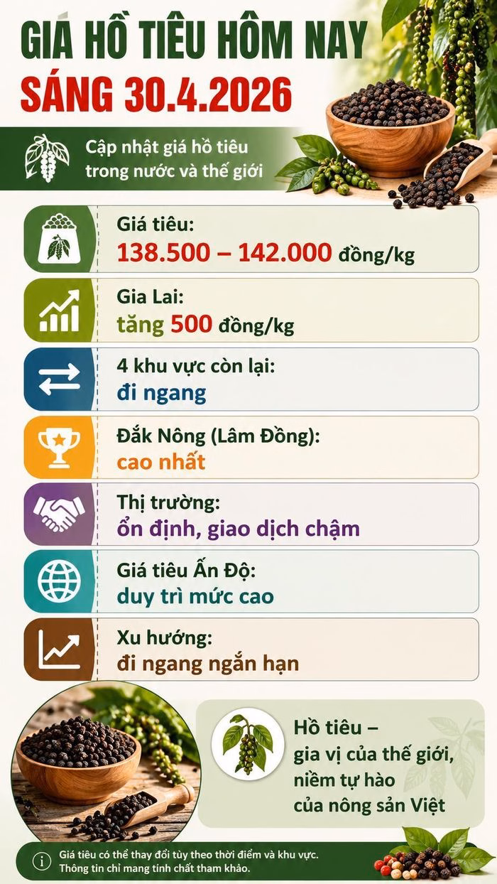Dự báo triển vọng thị trường hồ tiêu