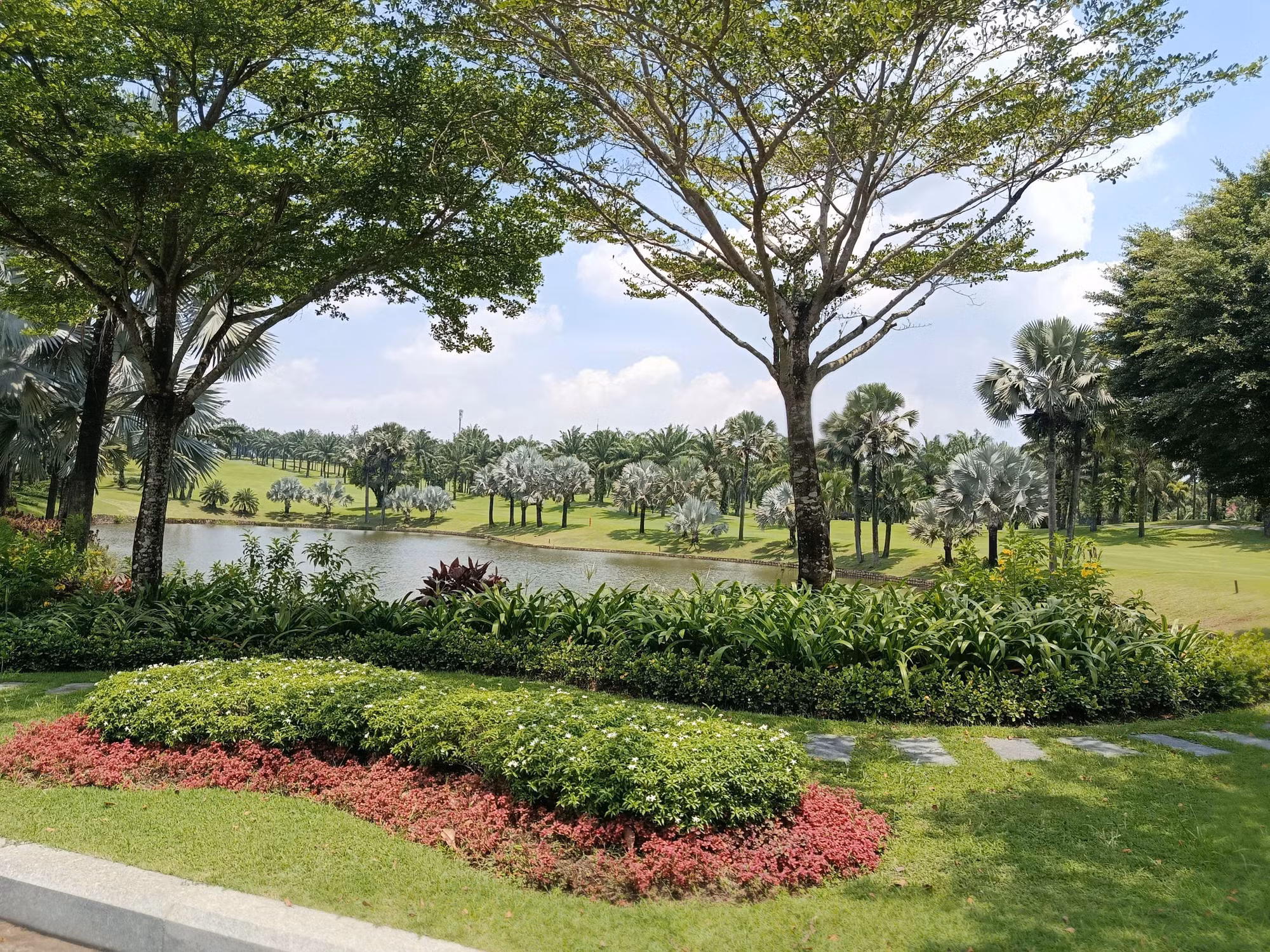 Chi tiết mặt cỏ green được chăm sóc kỹ lưỡng